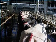 TailPaint - Kostengunstige tochtdetectie - Afbeelding 3