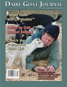 goat_article_voorpagina