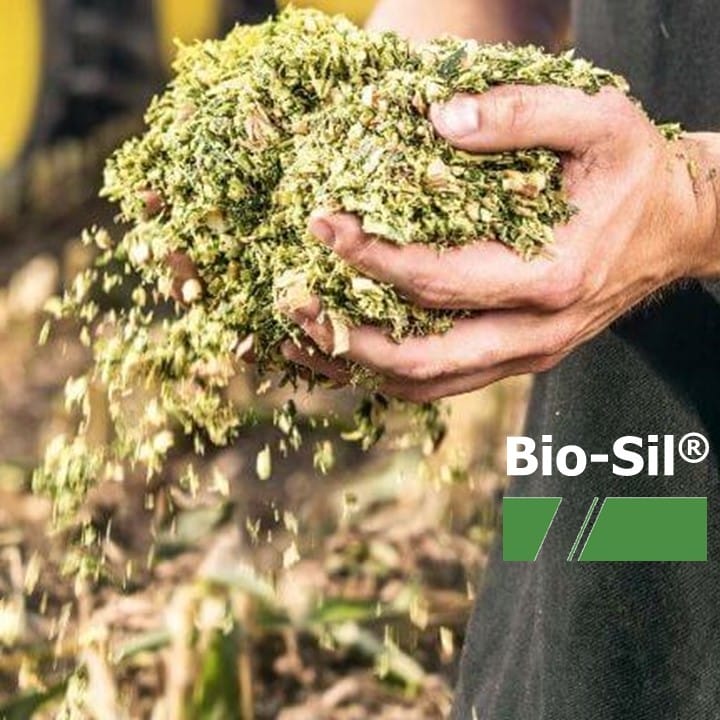BIO-SIL® inkuilmiddel, zakje voor 10 ha gras of 2 ha maïs - Staffelkorting - Afbeelding 9