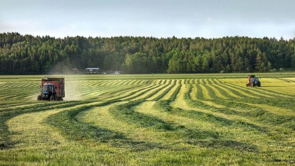 BIO-SIL® inkuilmiddel, zakje voor 10 ha gras of 2 ha maïs - Afbeelding 2