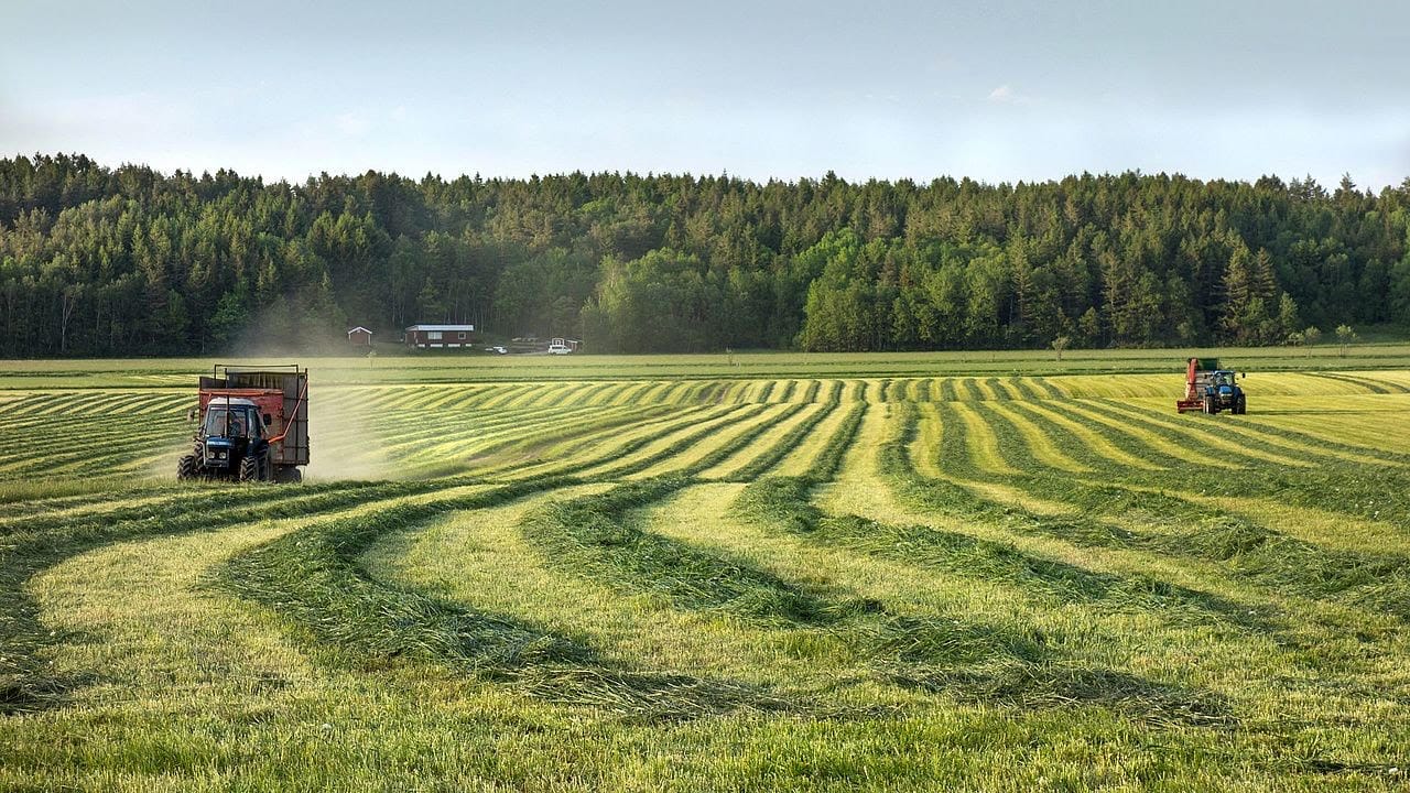 BIO-SIL® inkuilmiddel, zakje voor 10 ha gras of 2 ha maïs - Staffelkorting - Afbeelding 2
